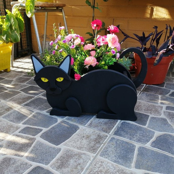 Rootly decorative planter for plant lovers