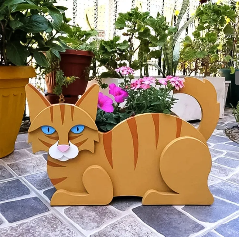 Warm & playful